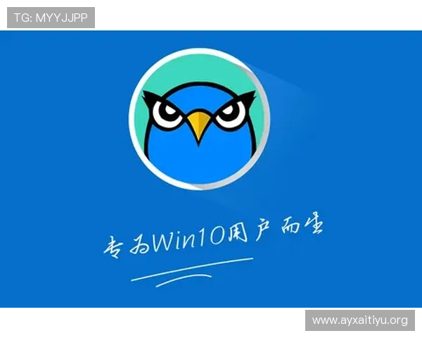 爱游戏体育app下载入口官方渠道，确保账号安全与优质体育内容同步更新